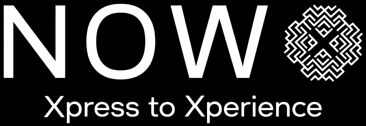 NowX logo